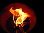 Fotoblog krzychu3000