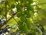 Fotoblog kaska670