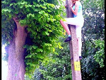 Fotoblog olaa1995a