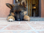 Fotoblog justaleksy