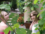 Fotoblog glamourr