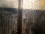 Fotoblog wolnygrawiton