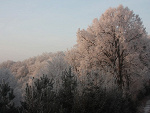 Fotoblog niezwyciezony