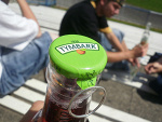 Fotoblog szympii