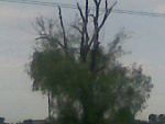 Fotoblog jowo7amatorek