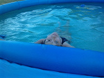 Fotoblog klaudia19950320
