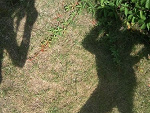 Fotoblog hurryupeveryone
