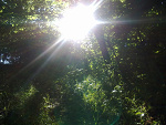 Fotoblog polamanyludzik
