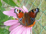 Fotoblog xxxyourpinkdreamxxx