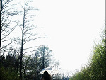 Fotoblog mentalillness