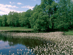 Fotoblog aniulaaa19