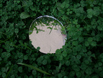 Fotoblog loveincrash