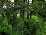Fotoblog komass