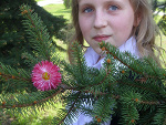 Fotoblog madziulka135