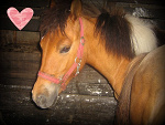 Fotoblog martakruk070707