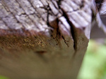Fotoblog rudeoczy