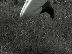 Fotoblog tonutti