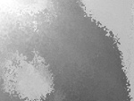Fotoblog yesterdaydontmeanshit