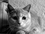 Fotoblog mita0126