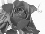 Fotoblog ciiiks