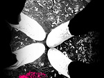 Fotoblog mycha177