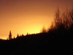 Fotoblog feavee