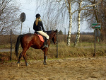 Fotoblog loshad