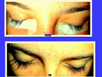 Fotoblog sylvia1984