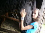 Fotoblog tiga