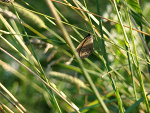 Fotoblog patrycjola