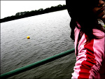 Fotoblog ipamace