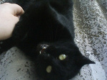 Fotoblog kingus666xd