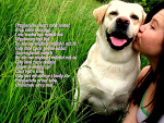 Fotoblog justys2202