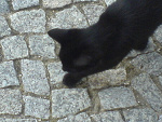 Fotoblog porazka
