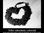 Fotoblog poetyckiezwierzenia