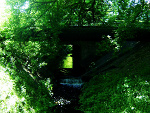Fotoblog krzysiekcmg