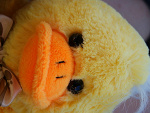 Fotoblog xxomartynaoxx