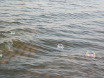 Fotoblog wiosennaxmgla