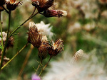 Fotoblog tusiaczek92