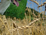 Fotoblog asiunia22