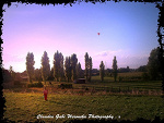 Fotoblog iloveyourawrrawr