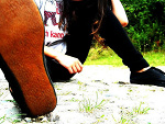 Fotoblog 8345