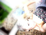 Fotoblog inteligente