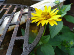 Fotoblog brakegoizmu