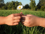 Fotoblog ysiu