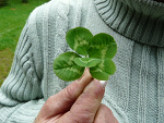 Fotoblog krecik21212