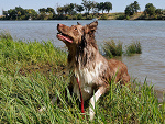 Fotoblog jogurtzplatkami