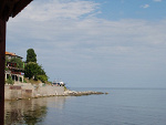 Fotoblog zonaginekologa