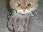 Fotoblog neneboy