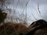 Fotoblog justnightmare